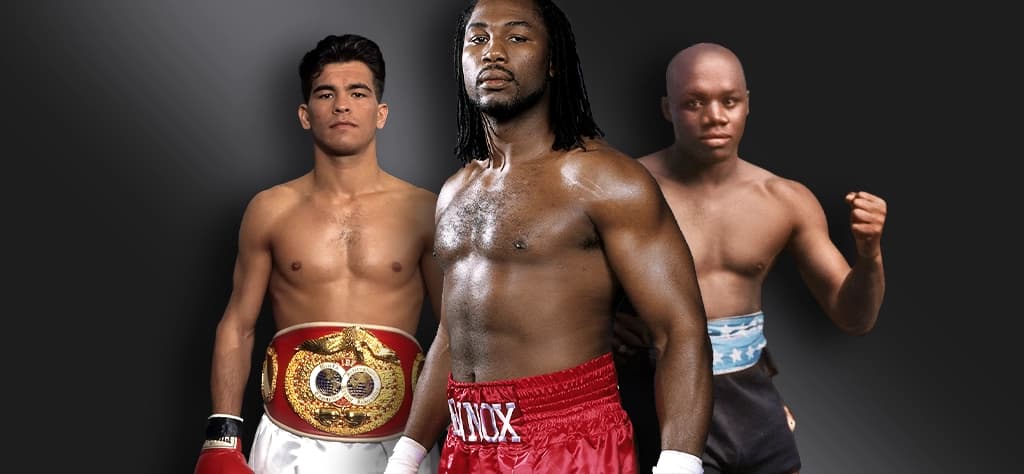 best canadian boxers