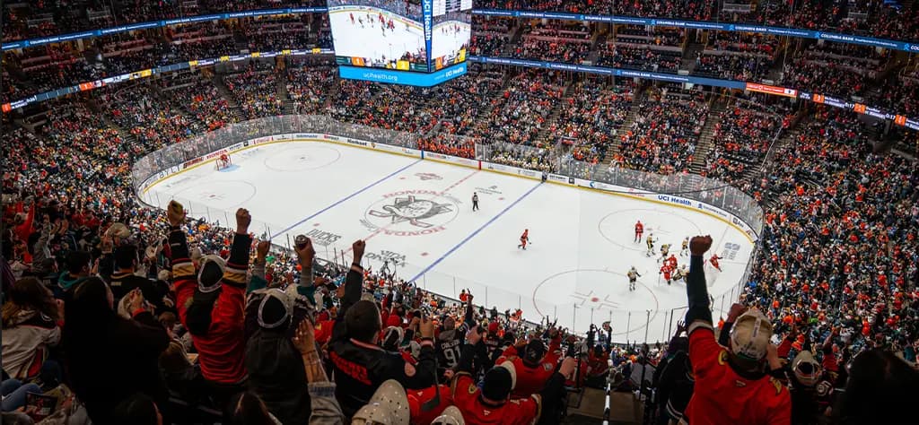 NHL Hockey Stadium